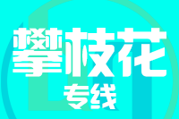泉州到攀枝花物流专线